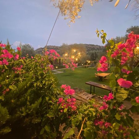 Suzi'Nin Bahcesi Bungalov Evler Datça Kültér fotó