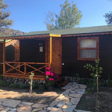 Suzi'Nin Bahcesi Bungalov Evler Datça Kültér fotó