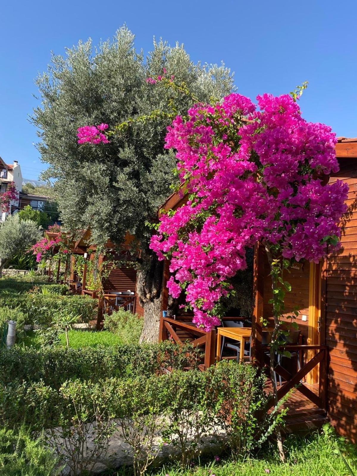 Suzi'Nin Bahcesi Bungalov Evler Datça Kültér fotó